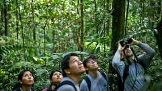 Foro Perú Sostenible: ¿Qué buenas prácticas pueden aplicar las empresas en gestión de la biodiversidad?