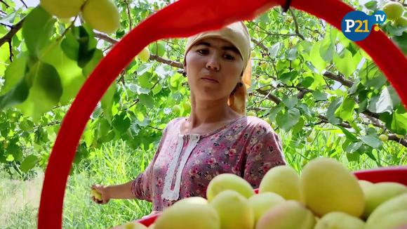 “From the Field: Women farmers facing the food crisis”
