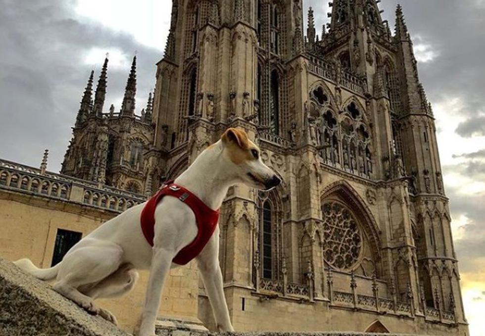 El periodista Pablo Muñoz Gabilondo y su perro Pipper se han propuesto conocer los puntos más turísticos de España y contar su experiencia.