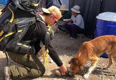 Médico veterinario voluntario llevó asistencia médica a mascotas tras huaicos en Mirave [VIDEO]