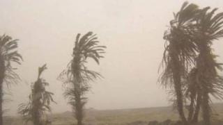 Senamhi prevé incremento de viento en la costa hasta el domingo 9 de febrero