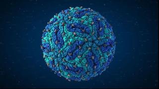 Zika: Mira cómo se ve el virus a nivel atómico [Video]