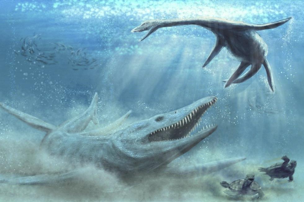 Hallan huesos de un enorme 'monstruo' marino que vivió hace 150 millones de años en Polonia. (Piotr Szczepaniak)