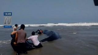 Lambayeque: Piden apoyo para rescatar a ballena varada en playa | VIDEO