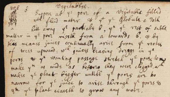 Cuaderno de Isaac Newton revela que descubrió cómo circula la savia por las plantas hace 350 años. (latercera.com)
