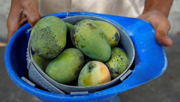 Frutas tropicales como el mango, el coco y la papapaya son 'salvavidas' en Venezuela. (Reuters)