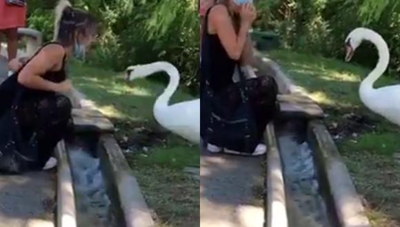 Un video viral muestra el curioso encuentro entre un cisne y una mujer con una mascarilla mal puesta sobre su mentón. | Crédito: Jukin Media / Facebook.