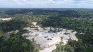 Perú perdió más de 2.7 millones de hectáreas de bosque amazónico entre el 2001 y el 2021