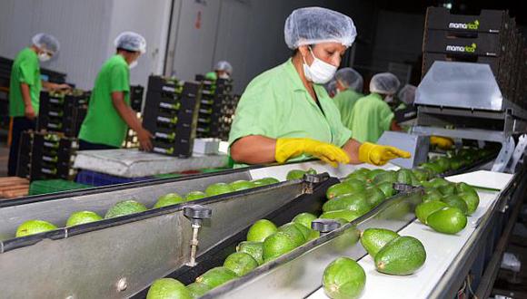 Las paltas, uvas y arándanos fueron los productos con mayor volumen de exportación. Se espera alcanzar más de US$7,000 millones al cierre del 2018. (Foto: USI)
