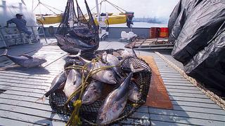 Produce dispone reducción temporal de multas al sector acuícola y pesquero