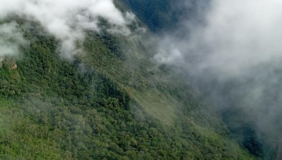 El Área de Conservación Regional Bosque Nublado Amaru-Huachocolpa-Chihuana es la primera de su categoría reconocida en la región Huancavelica. (Foto: Sernanp)