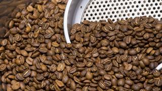 El café, uno de los cultivos alternativos en la lucha contra el narcotráfico