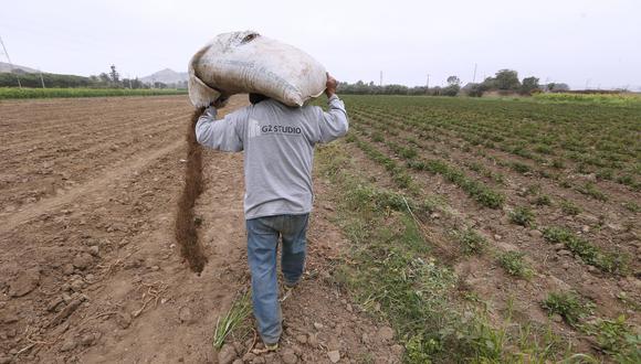 Midagri oficializó nulidad de compra de fertilizantes y confirma irregularidades. (Foto: Andina)