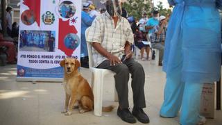 Piura: Abuelito acudió junto a su perrito a vacunarse contra el COVID-19