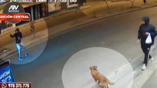 “Me mandó a volar”: joven fue atropellado cuando intentaba alimentar a perrito callejero y chofer se da a la fuga 