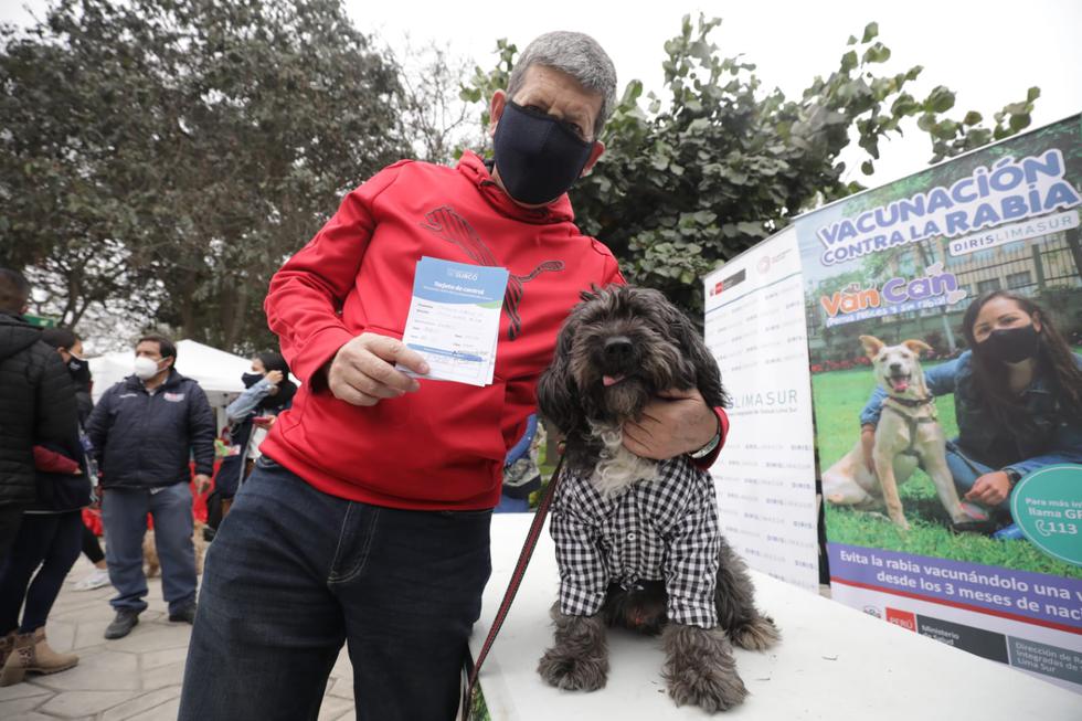 Dueños de perros y gatos llevaron este miércoles 29 de setiembre a sus mascotas disfrazadas al parque La Alborada, en el distrito de Santiago de Surco, para que sean vacunados contra la rabia en el marco del ‘Vacunapet′. (Foto: Britanie Arroyo/@photo.gec)