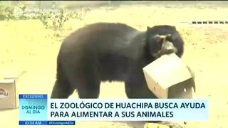 Zoológico de Huachipa abre sus puertas e invita a visitantes