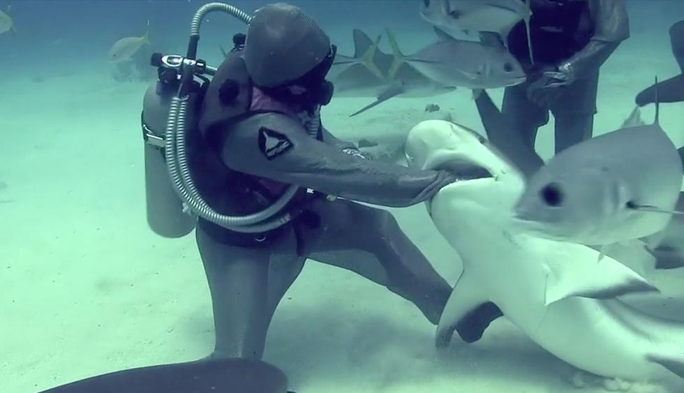 YouTube: Buceadora introduce sus manos en la boca de tiburones por insólito motivo | Viral