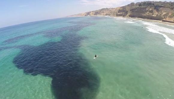 Marea de anchovetas tiñe de negro la costa de San Diego . (Internet)
