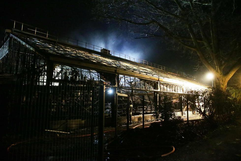 Un incendio en un zoológico en la ciudad alemana de Krefeld (oeste), del que se sospecha podría haber sido causado por fuegos artificiales. (AFP)