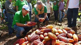 Ucayali: Devida promueve los cultivos alternativos en el Alto Huallaga