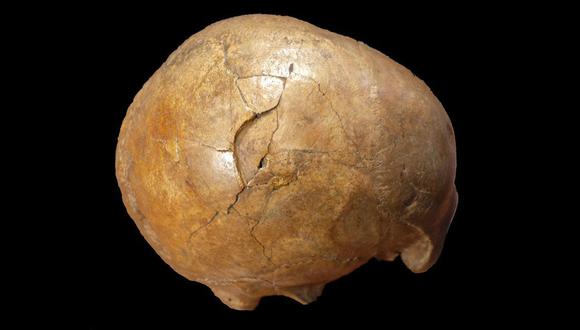 Las lesiones en el cráneo del fósil (dos cicatrices y una fractura), anteriormente interpretadas como causadas postmortem. (Foto: Elena F. - Kranioti Dan Grigorescu - Katerina Harvati)