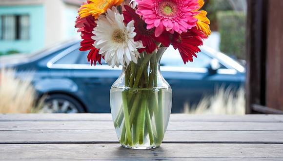 Florista recomienda tenerlas en un lugar ventilado y evitar que les caiga directamente el sol. (Foto: Pixabay)