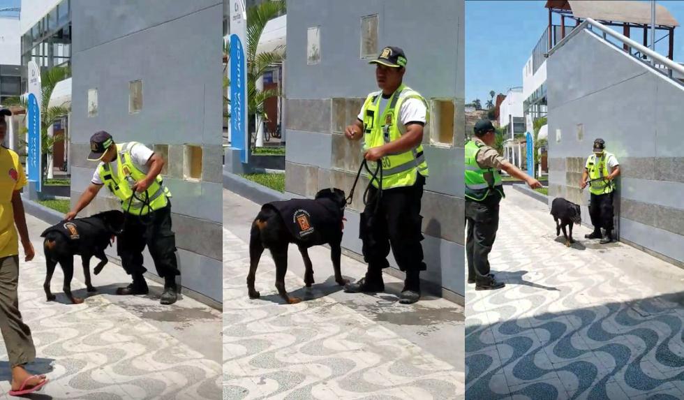 Chorrillos: Sereno que maltrató a un perro en playa Agua Dulce fue despedido. (Facebook)