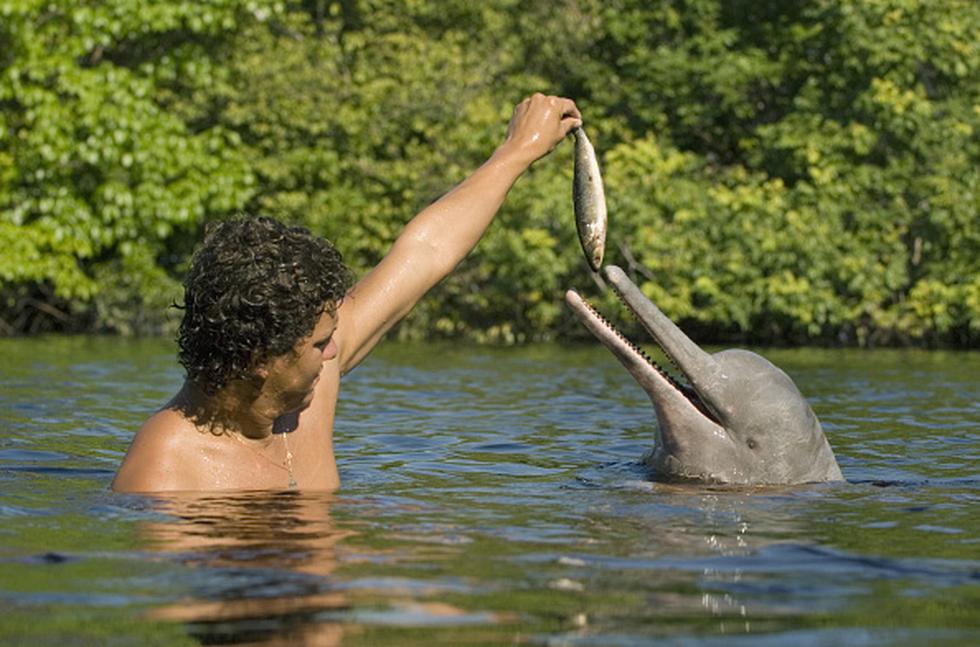 Delfin de rio (Foto: Getty)