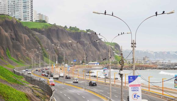 Las aves reposan sobre postes y cables en puntos críticos a lo largo del corredor de la Costa Verde.