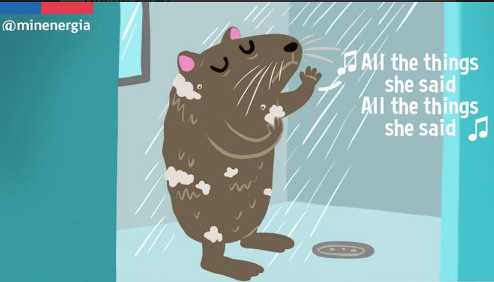Video de la 'rata bañandose' inspiró un mensaje del Ministerio de Energía chileno.
