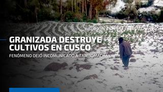 Lluvias y granizo afectan cultivos de papas y habas en Tambomachay - Cusco