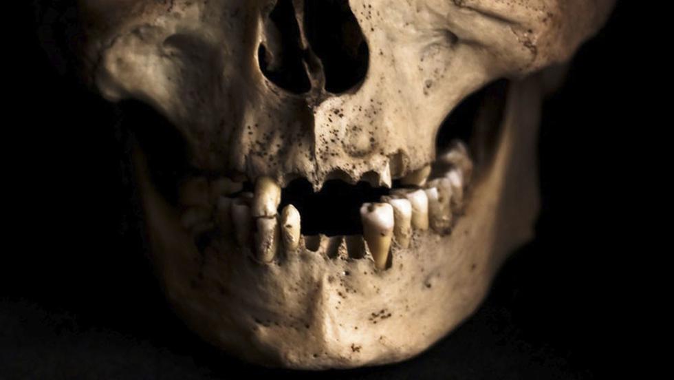 El último martes, un grupo de trabajadores descubrió más de mil dientes humanos en una construcción de Valdosta, en el estado de Georgia (Estados Unidos). (Pxhere)