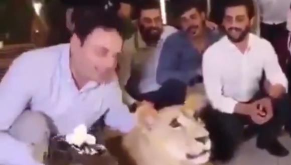 Twitter: Hombre que da tortazo en la cara de una leona genera indignación. (Twitter)