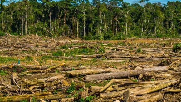 La propuesta de modificación aprobada por el Congreso apunta a formalizar el uso de los terrenos sin cobertura forestal, con derechos de propiedad reales, de agricultores establecidos en todo el país, explica el exministro de Agricultura y Riego (FOTO:GEC)