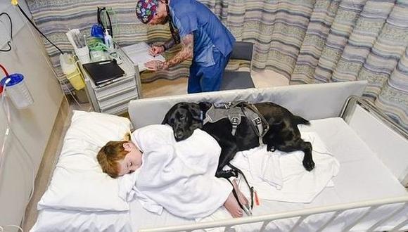 Mahe, el perro que acompaña a su dueño autista hasta en la cama de un hospital. (Louise Goossens)