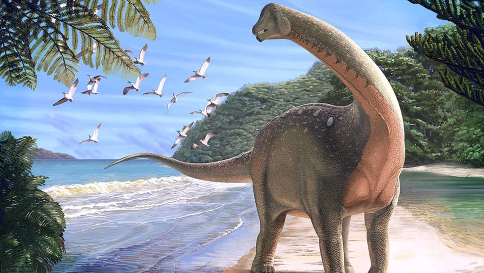 Científicos en Egipto han descubierto en el desierto del Sahara oriental el 'Mansourasaurus shahinae', una especie de dinosaurio del Cretáceo cuyos restos aportan nueva información sobre la vida de estos animales al final de su existencia, según un estudio publicado ayer en Nature. (@AlArabiya_Eng Twitter)