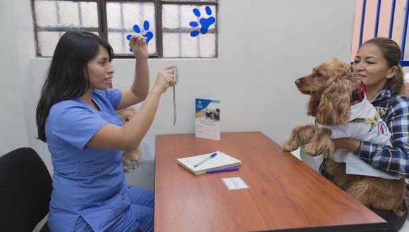El empadronamiento de mascotas es a partir de los 6 meses de vida y luego de haber completado su rol de vacunación. (Municipalidad de Lima)