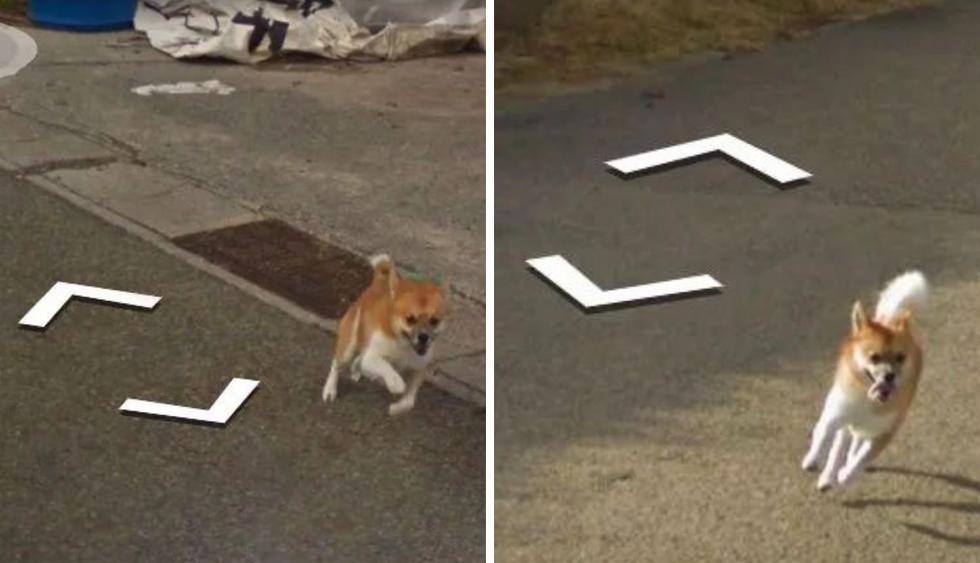 Un adorable pero valiente perro persiguió por varios metros al vehículo del 'Gigante de Internet'. (Foto: Google Street View)