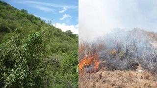 Laquipampa: Ya se cuenta con el helicóptero para sofocar incendio en Área Natural Protegida
