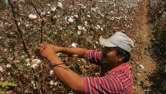 Volumen de ventas de algodón producido localmente cayó en 42% entre 2006 y 2011. (Giancarlo Shibayama)