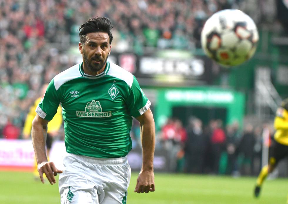 Claudio Pizarro presentó una lesión muscular y no estuvo disponible para el reinicio de la Bundesliga. (Foto: AFP)
