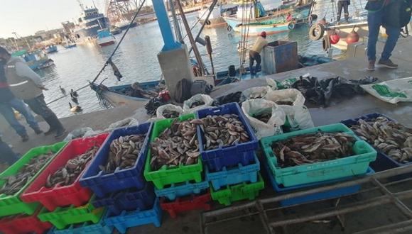 Piura: Fiscalía intervino una embarcación que realizaba pesca ilegal en mar de Talara (Foto: Ministerio Público)