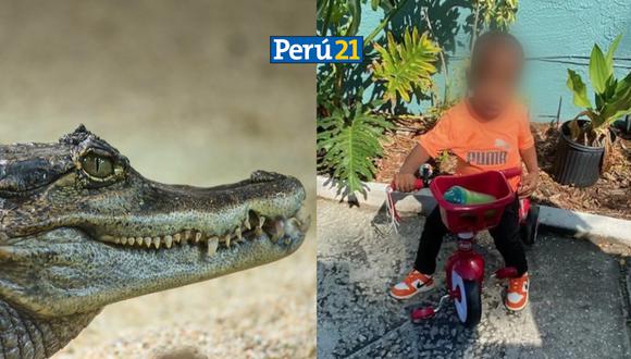 Encuentran a niño dentro de la boca de un caimán. (Foto: Composición Perú21)