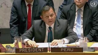 Canciller Néstor Popolizio: "No se impedirá el ingreso de venezolanos al Perú"