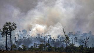 Amazonía de Brasil sufre el peor foco de incendios desde hace 14 años 