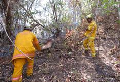 Controlan incendio forestal en la Reserva Nacional de Tumbes [FOTOS Y VIDEO]