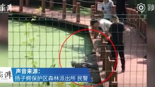 ¡Indignante! Hombre patea a un cocodrilo en extinción "para que se mueva" [VIDEO]