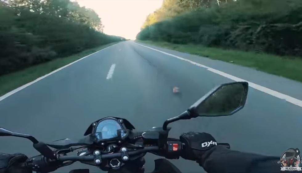 Detuvo su moto en plena autopista para salvar a gatito abandonado y se ganó la admiración de internautas. El video es viral en redes sociales. (YouTube | Viralhog)