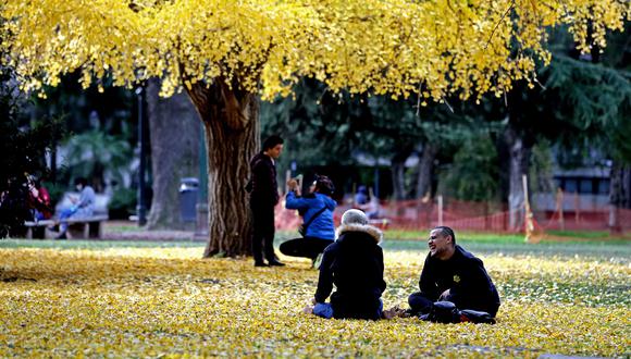 Personas conversan al aire libre en un parque en el barrio de Palermo en Buenos Aires. (Foto: ALEJANDRO PAGNI / AFP)